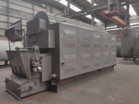 Chaudière à vapeur automatique à grille à chaînes, alimentée à granulés de bois biomasse, 6t/h, 8t/h, 10t/h, pour l'industrie des boissons