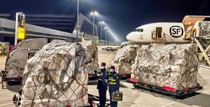 โซลูชันการขนส่งด่วนทางอากาศระหว่างประเทศถึงบ้านจากจีนไปยังฮาราเรีร์ซิมบับเว - Product Image 3