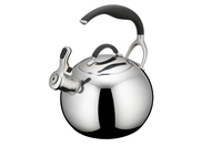 Bouilloire à eau en acier inoxydable de haute qualité, écologique, compatible induction, avec couvercle en acier inoxydable, sans revêtement, design moderne