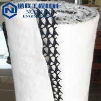 Geocomposite Drainage HDPE Mesh 3D Composite Geo Net Geonet pour le contrôle de l'érosion et la stabilisation des pentes