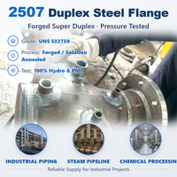 Bride aveugle anti-corrosion Super Duplex 2507 PN16 PN40 pour applications chimiques