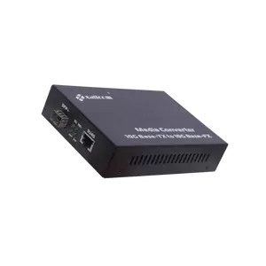 Converter 1 1G 10G SFP 1 1G 10G RJ45 Copper Port AC220V DC5V DWDM CWDM Commercial Grade Fiber Media Converter