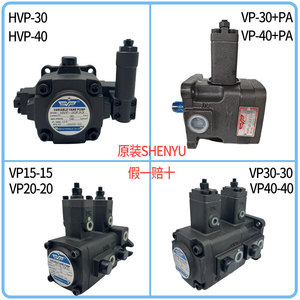 Pompe à palettes variables Shen Yu série VP hydraulique pour machines de moulage par injection et de fonderie sous pression - Product Image 3