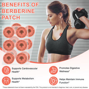 แพทช์เพื่อสุขภาพ acentiallabs berine transberine สนับสนุนการเผาผลาญภูมิคุ้มกันส่งเสริมการเผาผลาญอาหารย่อยอาหาร - Product Image 4