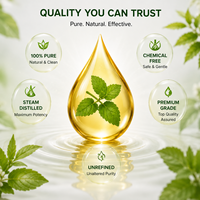 Huile Essentielle de Mélisse 100% Pure Certifiée Biologique, Petite Production, Bouteille de 1KG, Étiquette Privée Personnalisée, Soin Corporel Doux, Soins de la Peau, Matière Première