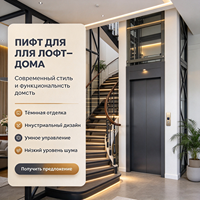 Ascensore Domestico Senza Ingranaggi a Corrente Alternata, Risparmio Energetico, Funzionamento Silenzioso, per Ville e Edifici Residenziali