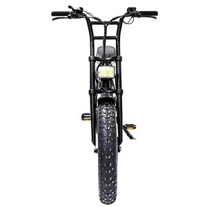 Neumático grueso de alta calidad de 20 pulgadas para adultos ATV08 Ebike, bicicleta eléctrica urbana con batería de litio. - Product Image 1