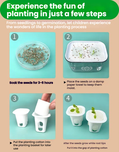 Plantes artificielles écologiques en pot, mini-plantes en plastique PP pour la maison, le jardin, le bureau, la décoration, la culture aquaponique de la laitue, 6 - Product Image 3