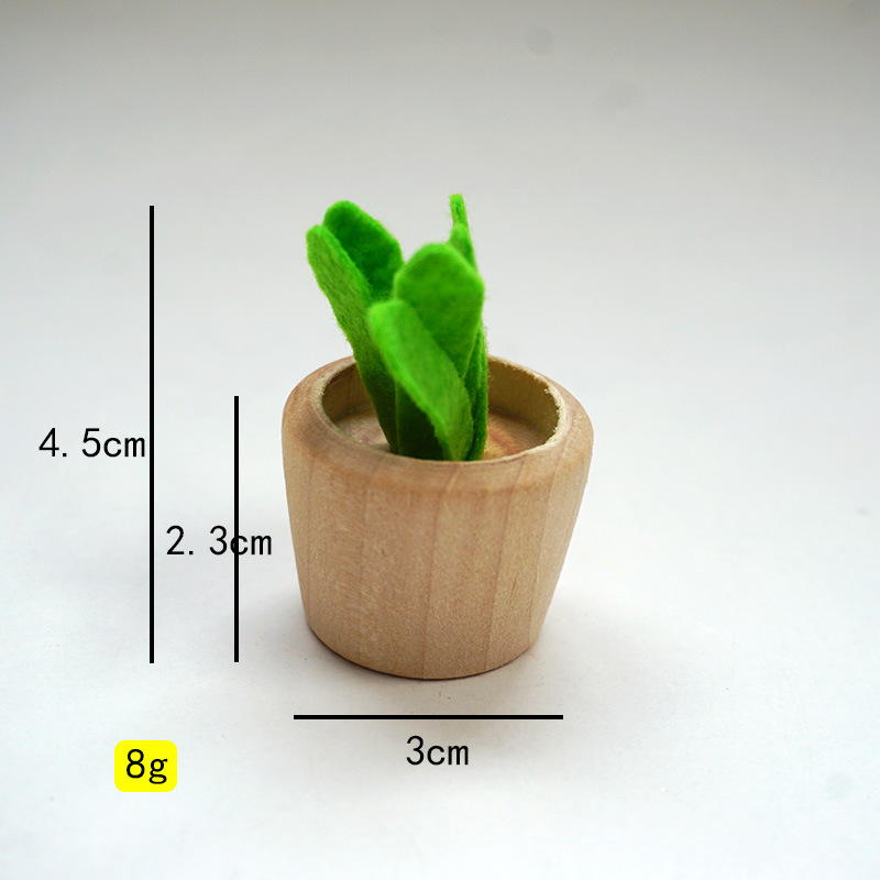 Piante verdi in miniatura