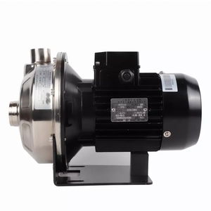 Gran oferta de China, bomba de agua agrícola centrífuga horizontal de una sola etapa de 250 Lpm, bomba de agua de 3Hp para granja - Product Image 2