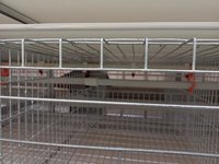 Nouvel équipement agricole essentiel : Cage automatique à 3 niveaux pour 160 poules pondeuses, en acier galvanisé de type H