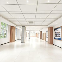 Dalles de plafond acoustiques en fibres minérales durables 600x600 anti-affaissement et ignifuges, en promotion, pour campus universitaire éthiopien