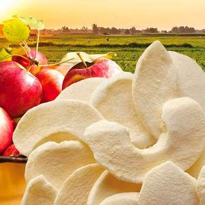 Factory Outlet Healthy Food Bulk Packaging Proceso de liofilización al vacío Pelar rebanadas Frutas y verduras Chips de manzana liofilizados - Product Image 4