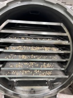 Productie vacuüm-vriesdroger fruit groente fruitschijfjes huisdierensnacks ruimtevoedsel koffiepoeder aquatische bananen maïs machine
