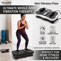 Yan Değişken Titreşimli Plaka Titreşim Platformu Makinesi Ev Tipi Fitness Ekipmanı Tüm Vücut İçin En İyi 3D Pivot Mini Terapi Aleti
