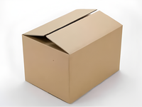 Emballage Double Paroi Grand Carton de Déménagement Solide Épaissi 5 Plis Ondulé Personnalisé Boîte en Carton