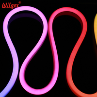 Bande LED RGB personnalisée de 1 m en PVC 24 V, tube néon flexible à 360 degrés, adressable, IP68, RGBIC, contrôleur CCT, interrupteur, pour aménagement paysager