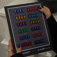 Suuseegel – Vente en gros de 12 teintes de vernis à ongles gel UV effet œil de chat Gemini Chameleon avec poudre magnétique fine, gel brillant effet œil de chat pour salon de manucure