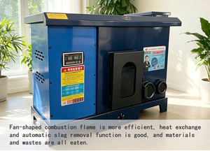 Calentador de Agua Ecológico de Pellets de Madera de Doble Propósito, Bajo Consumo, 60W, para Sistema de Radiadores - Product Image 4