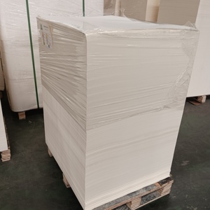 Double-Sided PE Coated Food Grade Craft Paper <b>Sheets</b> Recyclable Eco-Friendly Customizable for Offset Printing - Product Image 1