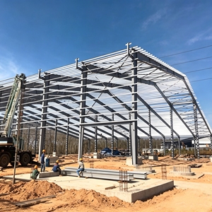 Structure <span class=keywords><strong>en</strong></span> acier préfabriquée moderne pour ferme, <span class=keywords><strong>couleur</strong></span> et taille personnalisées, conception professionnelle, assistance <span class=keywords><strong>en</strong></span> <span class=keywords><strong>ligne</strong></span> - Product Image 5