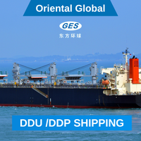 Bon prix, service d'expédition maritime FBA, agent d'expédition de fret DDP, Chine vers l'Allemagne, porte à porte, LCL+Express, 35-42 jours