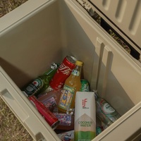 Glacière rigide à roulettes 48L, garde la glace, pour le camping, en plastique, portable, pour pique-nique, avec poignée