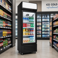 Vitrines réfrigérées commerciales pour boissons, à contrôle manuel de la température, économie d'énergie, portes simple/double/triple
