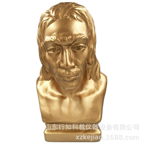 Modelo de reconstrucción de cabeza de hombre de Pekín, modelo didáctico histórico, fabricante de instrumentos educativos - Product Image 5