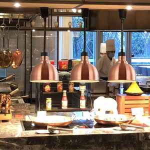 Bw19 thép không gỉ thực phẩm ấm áp ánh sáng mặt dây chuyền kính thiên văn ánh sáng mặt dây chuyền hồng ngoại đèn treo thực phẩm sưởi ấm ánh sáng Trần - Product Image 6