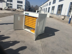 Tự động 1500 trứng lồng ấp gà vịt fowl chim cút <span class=keywords><strong>Setter</strong></span> <span class=keywords><strong>hatcher</strong></span> - Product Image 2