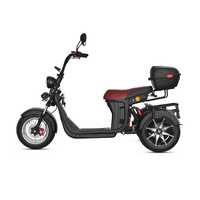 Nuevo Modelo Loyal Citycoco, Scooter Eléctrico de 3 Ruedas, Citycoco 3000w, Triciclo Eléctrico con Llantas Anchas, Citycoco de Tres Ruedas, Triciclo 4000w