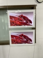 18.5 ''21.5'' haute luminosité fenêtre suspendue LCD affichage publicitaire multi-écran signalisation numérique pour vitrine de magasin de détail