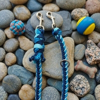 Laisse pour chien en paracorde tressée faite à la main, de luxe, personnalisée, robuste, à deux poignées, mains libres, imperméable, avec nom personnalisé