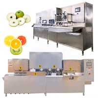 Appel, sinaasappel, avocado, mango, kiwi schilmachine, appel schil-, ontpit- en snijmachine, fruit ontpitmachine