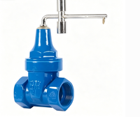 Vanne à opercule à joint souple, manuelle, avec verrouillage antivol crypté, raccord fileté pour entrée de compteur, PN16, OEM disponible, 1/2in-2in, pour alimentation en eau