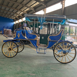 Carrosse de tourisme Victoria à prix d'usine, transport spécial, carrosse de mariage, carrosses électriques à vendre - Product Image 5