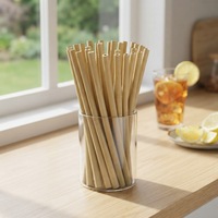 Pailles en bambou biodégradables écologiques jetables, pailles en fibre de bambou naturelles, vente en gros, logo personnalisé, utilisation pour les fêtes