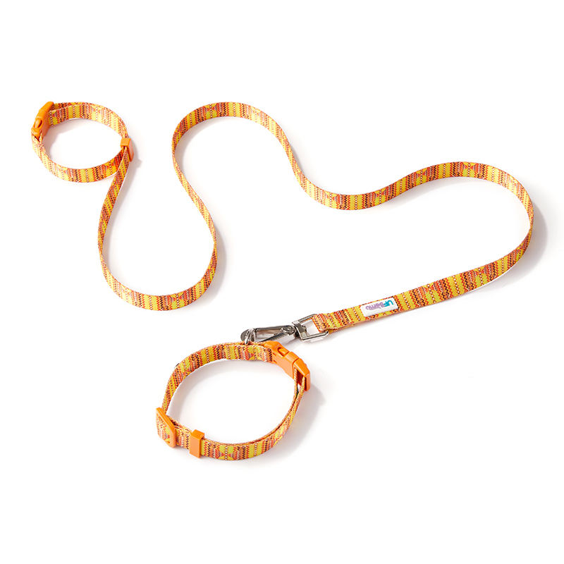 Collier + laisse (California Sunshine)