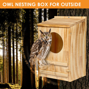 Большой деревянный домик для птиц, с принтом - Product Image 6