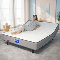 Matelas électrique intelligent avec contrôle par application, housse amovible durable, ultra confort, sommeil profond et paisible, alarme de réveil, chambre à coucher, maison