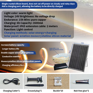 5M 10M 15M <span class=keywords><strong>20M</strong></span> 50M énergie <span class=keywords><strong>solaire</strong></span> Led bande lumineuse Ip65 <span class=keywords><strong>solaire</strong></span> guirlandes néon Led lumières Flexible bande souple pour jardin - Product Image 6