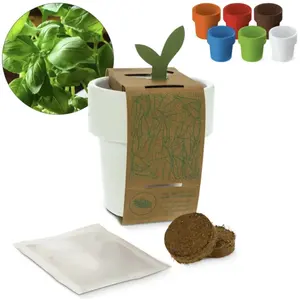 Gobelet avec graines de basilic, gadgets écologiques - Product Image 3