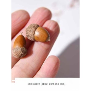 Materiales Naturales Creativos, Plantas de Nicho, Accesorios Personalizados, Joyería de Aretes de Fruta Seca, Aretes de Calabaza - Product Image 3