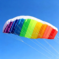Cerf-volant de puissance Rainbow Dual Line Parafoil, sans cadre, cerf-volant de voltige portable pour la plage, les sports de plein air et l'entraînement, vente en gros