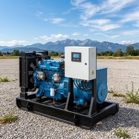 Centrale électrique haute efficacité 50 kW, générateur diesel de type ouvert de marque supérieure, puissance fiable pour usage industriel et commercial