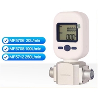 Débitmètre de masse de gaz numérique LCD portable LINO RS485 LoRa/WiFi MF5712/MF5706 0-20L/Min OEM Personnalisable Alimenté par batterie -10-55C 1