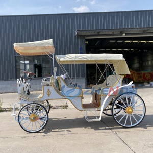 Charrette électrique de tourisme, chariot européen, charrette de mariage en forme de citrouille, Chine Xuchang Zhenda Machinery - Product Image 6