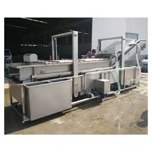 Commercial Automatic Air Flow Bubble Leafy Vegetable Washing Machine CE ISO9001 Provided Energy Saving Fruit Washer 300 CN;SHN