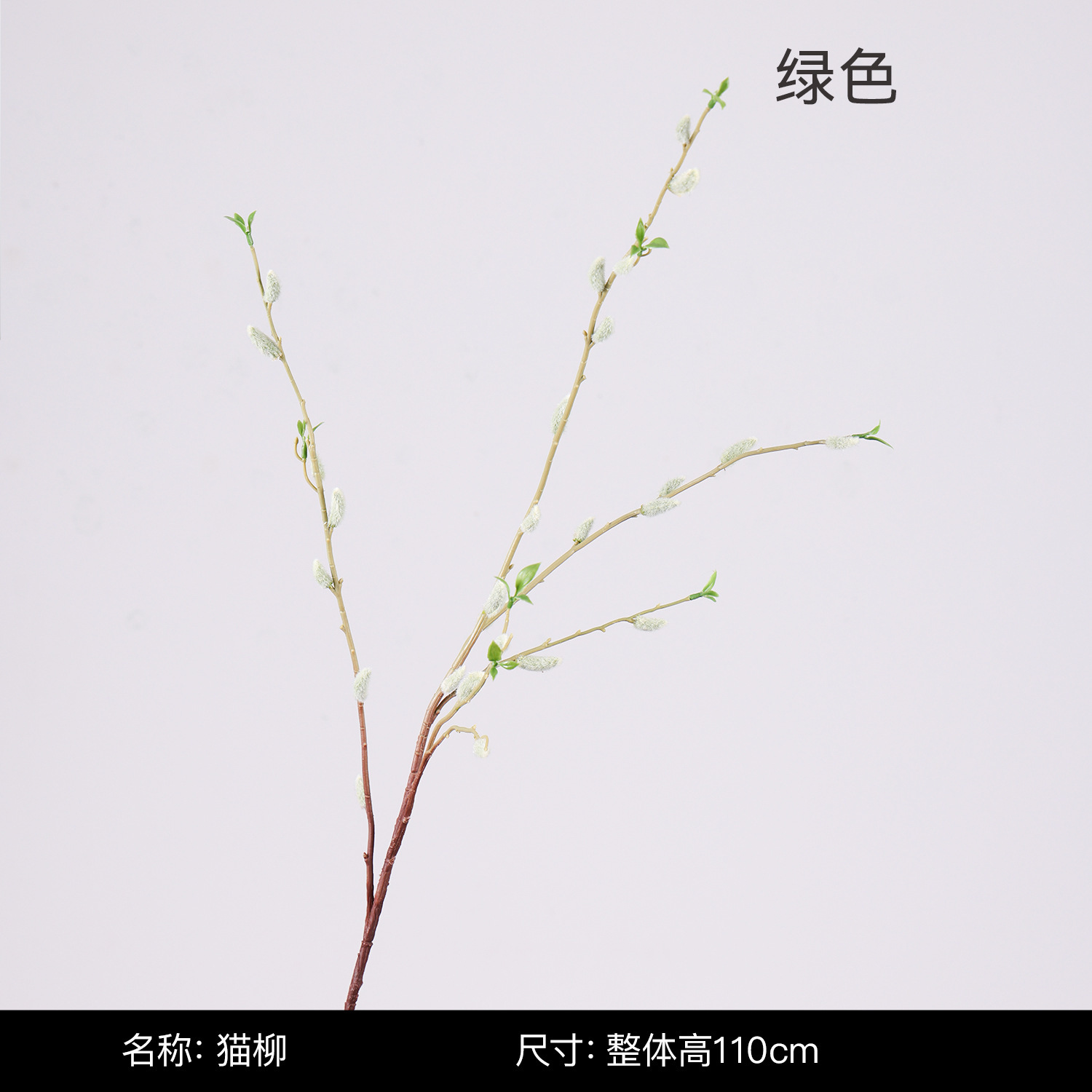 Cat willow-green